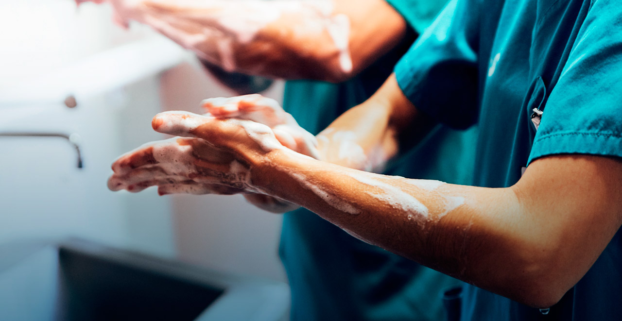 Vins Auladell - Més d'un segle de passió pel vi